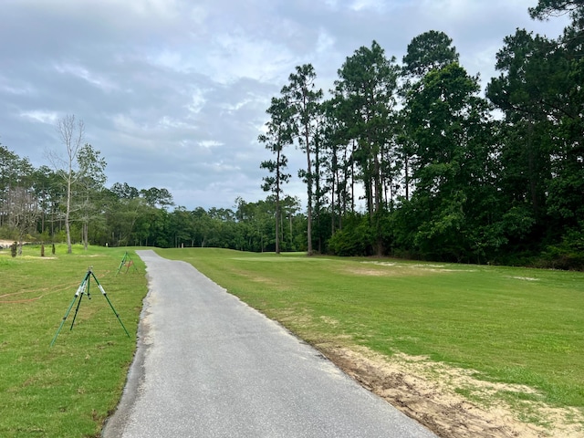 view of community with a yard