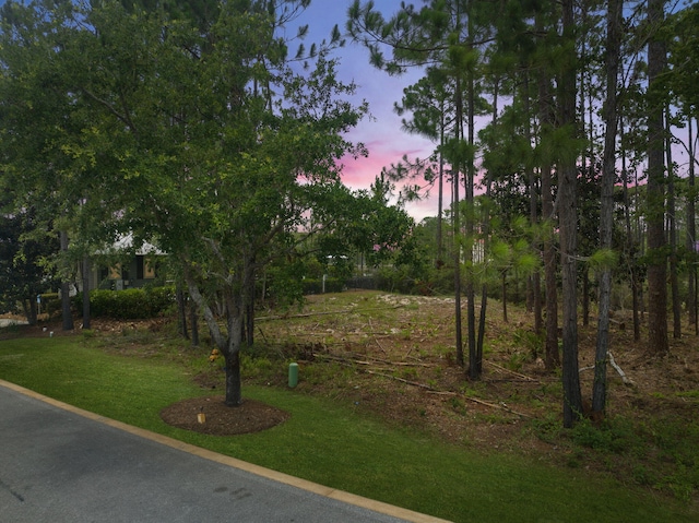 LOTI-13 Teal Ct, Santa Rosa Beach, FL 32459 - photo 13