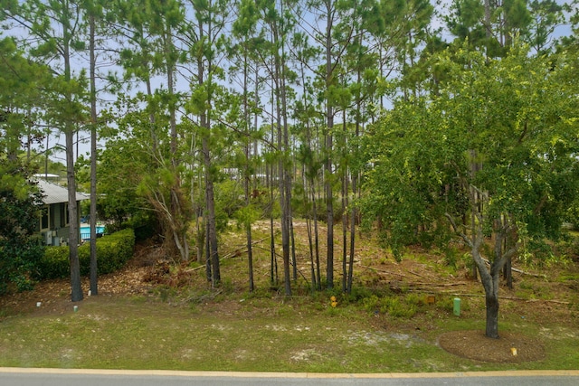 LOTI-13 Teal Ct, Santa Rosa Beach, FL 32459 - photo 15