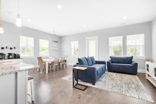 living room with plenty of natural light and wood-type flooring