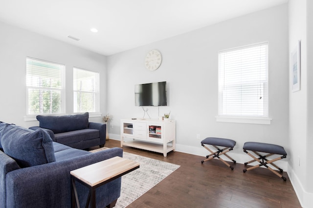 living room featuring dark wood-type flooring