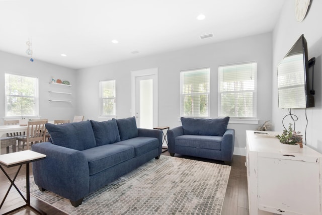 living room with wood-type flooring