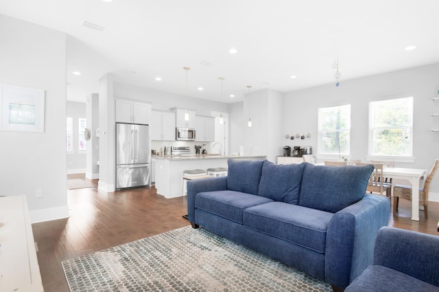 living room with dark hardwood / wood-style floors and sink