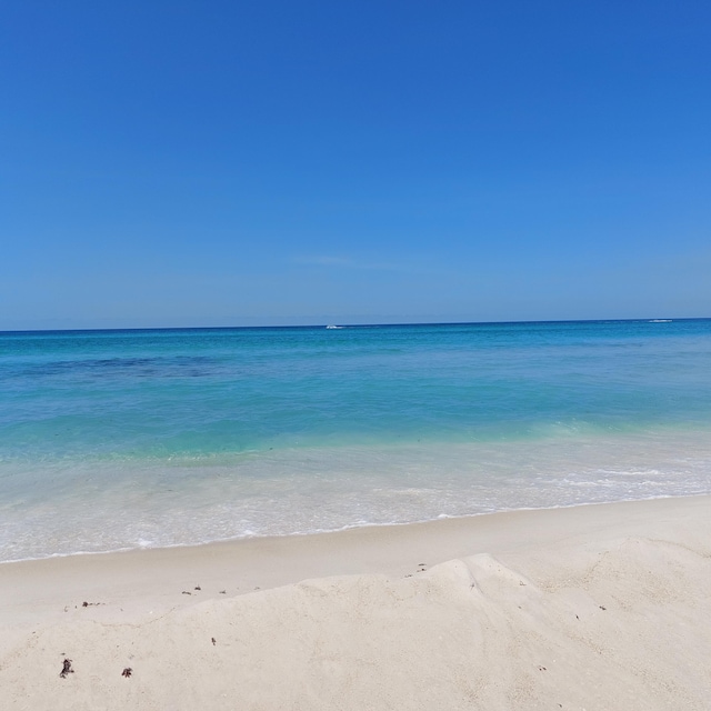 property view of water featuring a view of the beach