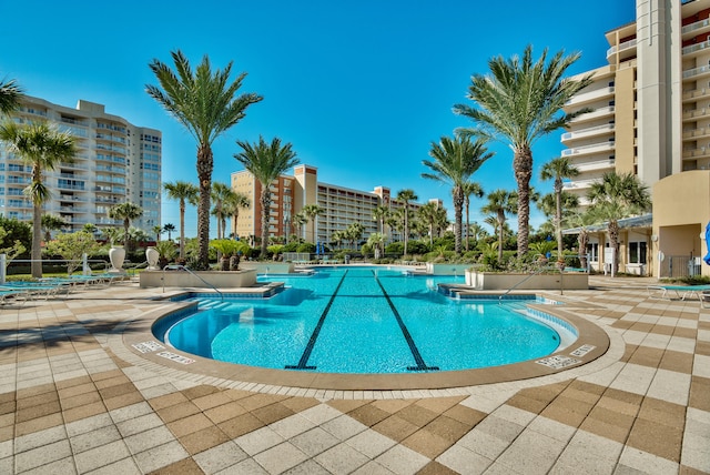 view of pool featuring a patio