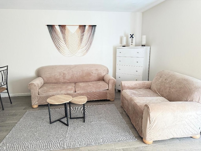 living room with hardwood / wood-style floors