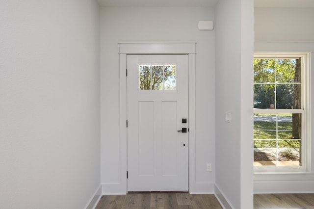 entrance foyer with dark hardwood / wood-style flooring