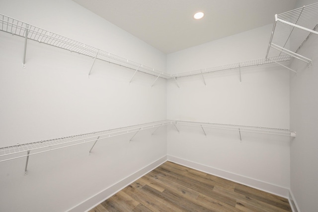 walk in closet with dark wood-type flooring