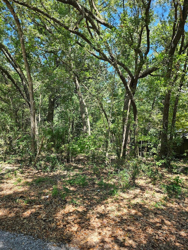 LOT4 Aspen St, Freeport FL, 32439 land for sale