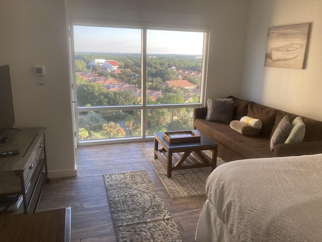 bedroom with hardwood / wood-style floors