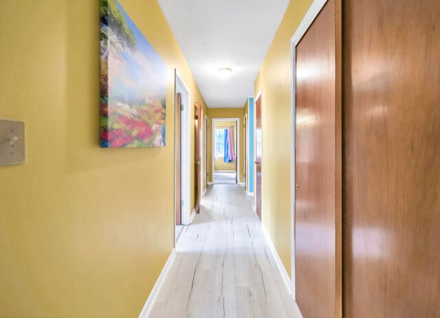 hallway featuring light hardwood / wood-style flooring