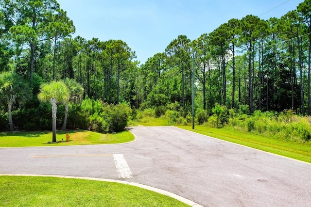 TBD Saint Johns Rd, Santa Rosa Beach FL, 32459 land for sale