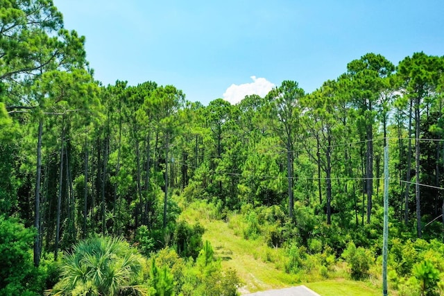 Listing photo 2 for TBD Saint Johns Rd, Santa Rosa Beach FL 32459