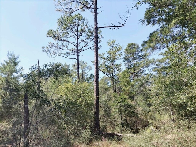 0 Waldo Rd, Crestview FL, 32539 land for sale