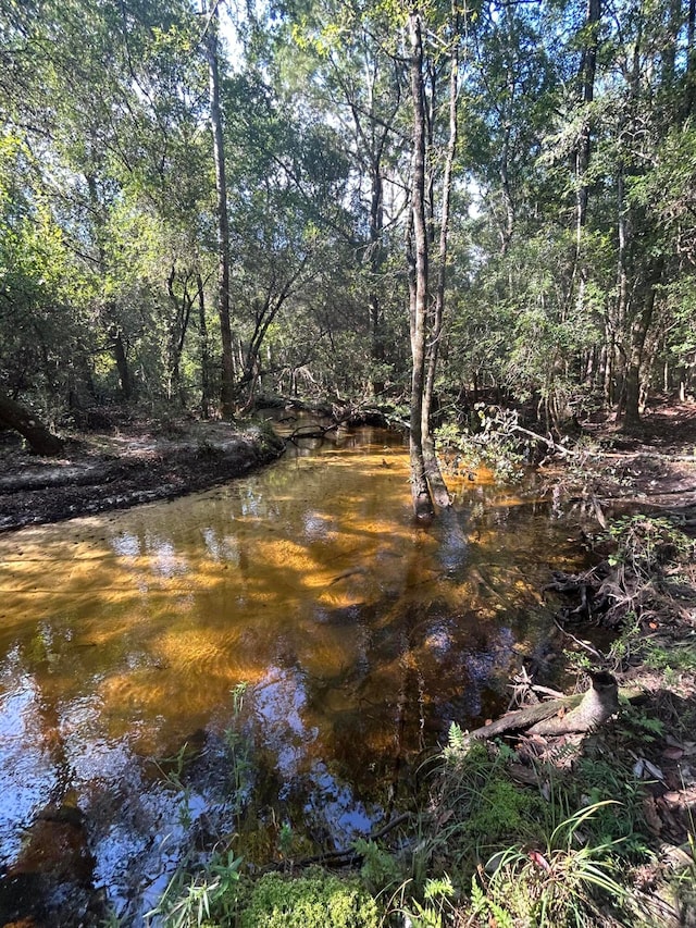 view of local wilderness featuring a water view