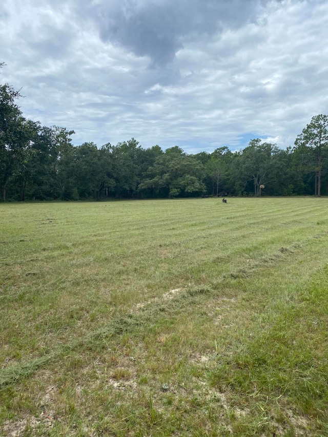 view of nature with a rural view