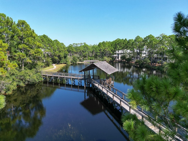 dock area with a water view