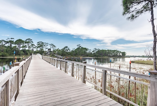 dock area with a water view