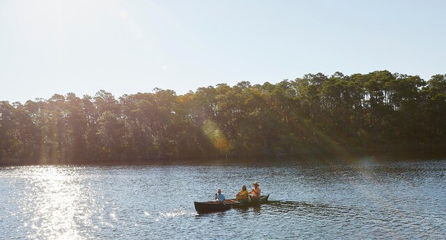 water view featuring a wooded view