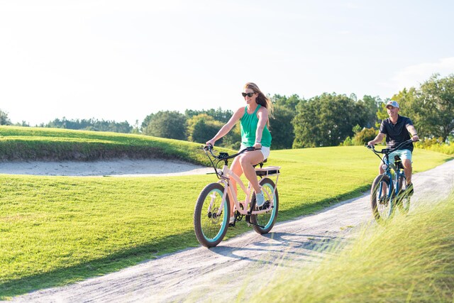 surrounding community with a lawn and dirt driveway