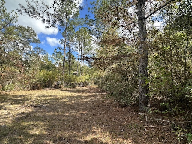 128.57AC Lacey Ln, Crestview FL, 32536 land for sale