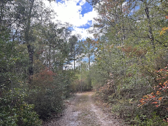 Listing photo 2 for 128.57AC Lacey Ln, Crestview FL 32536