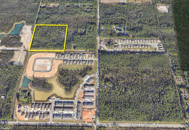 10ACRES Angel, Santa Rosa Beach FL, 32459 land for sale