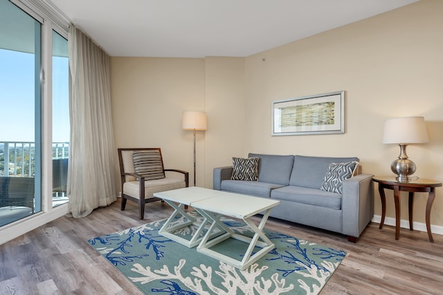 living room with light wood-type flooring