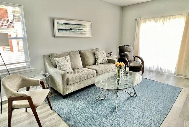 living room featuring light wood-type flooring