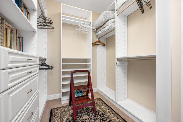 spacious closet featuring light carpet