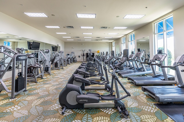 workout area featuring light colored carpet