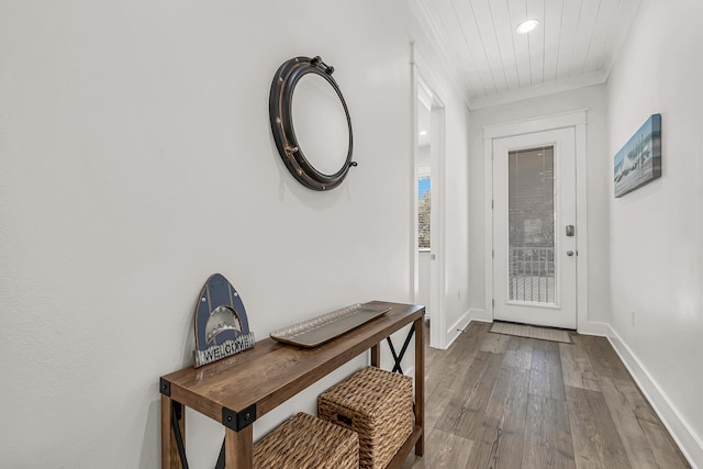 doorway to outside featuring dark wood-type flooring