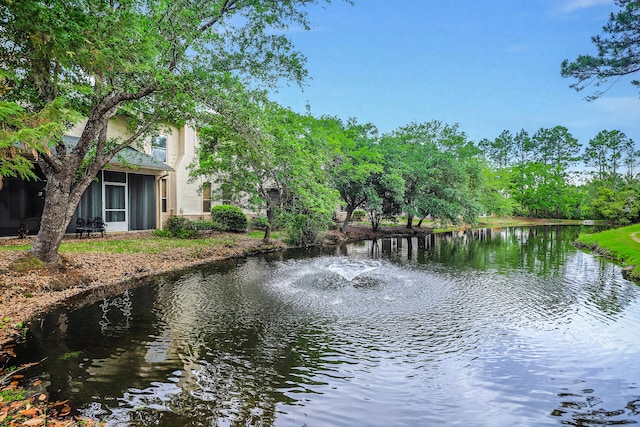 view of water feature