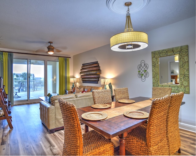 dining area featuring light hardwood / wood-style flooring and ceiling fan