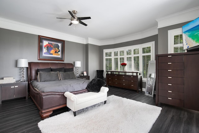 bedroom featuring multiple windows, dark hardwood / wood-style flooring, crown molding, and ceiling fan