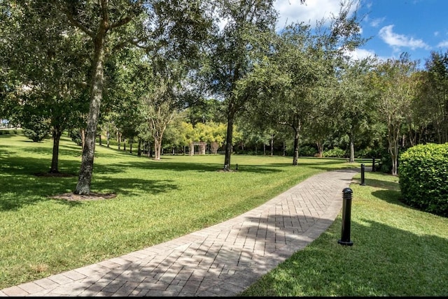 view of community featuring a lawn