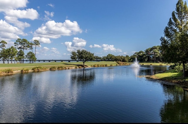 property view of water