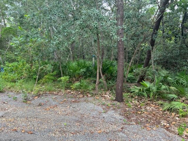 LOT9 Walnut St, Santa Rosa Beach FL, 32459 land for sale