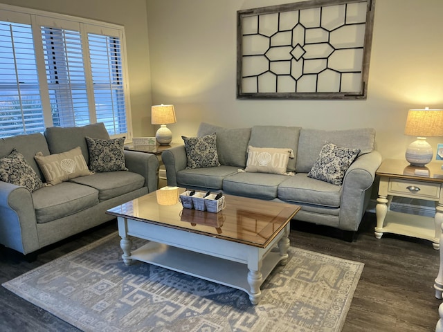 living room featuring dark wood-type flooring