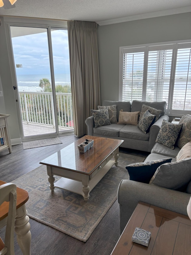 living room featuring hardwood / wood-style floors, a water view, a textured ceiling, and ornamental molding