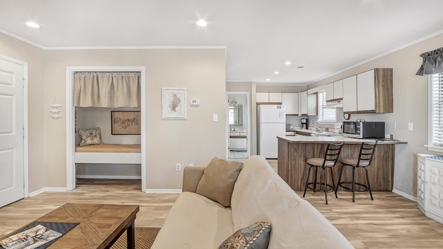 living room with crown molding, light hardwood / wood-style flooring, and sink