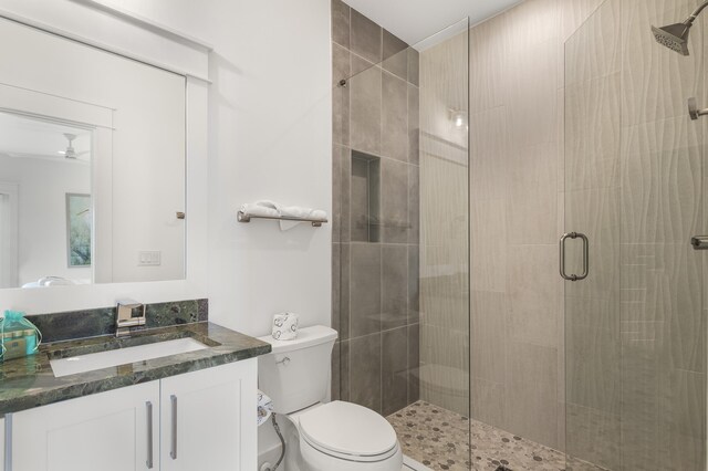 bathroom with vanity, a shower with door, and toilet