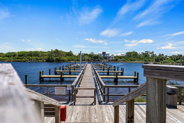 dock area with a water view