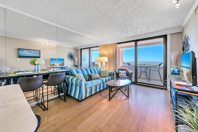 living room featuring floor to ceiling windows, a textured ceiling, light wood-type flooring, and track lighting