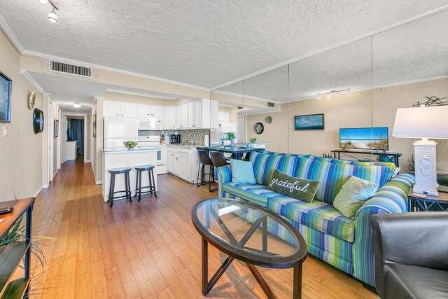 living room with rail lighting, light hardwood / wood-style flooring, and a textured ceiling