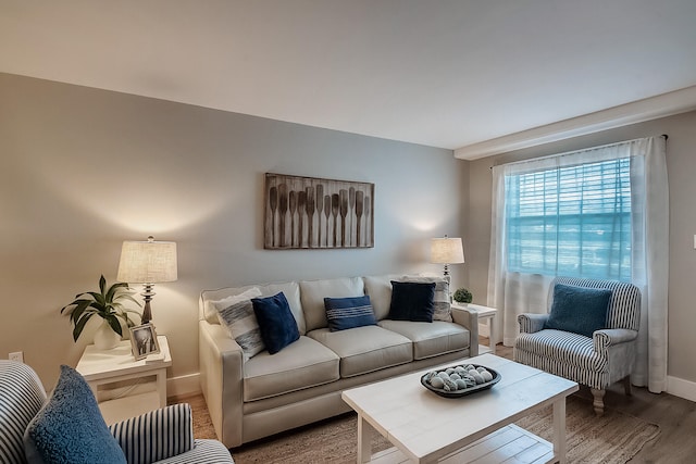 living room featuring hardwood / wood-style flooring