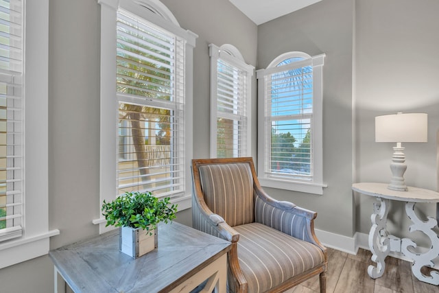 living area featuring light hardwood / wood-style flooring