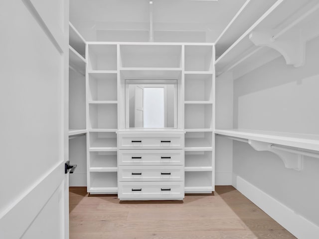 330 Kelly Plantation Dr, Destin, FL 32541 - spacious closet with light wood-style flooring