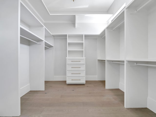 330 Kelly Plantation Dr, Destin, FL 32541 - spacious closet with light wood finished floors