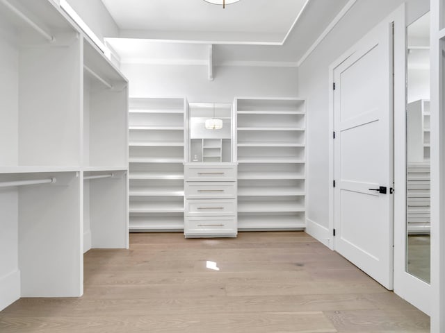 330 Kelly Plantation Dr, Destin, FL 32541 - spacious closet featuring light wood-type flooring